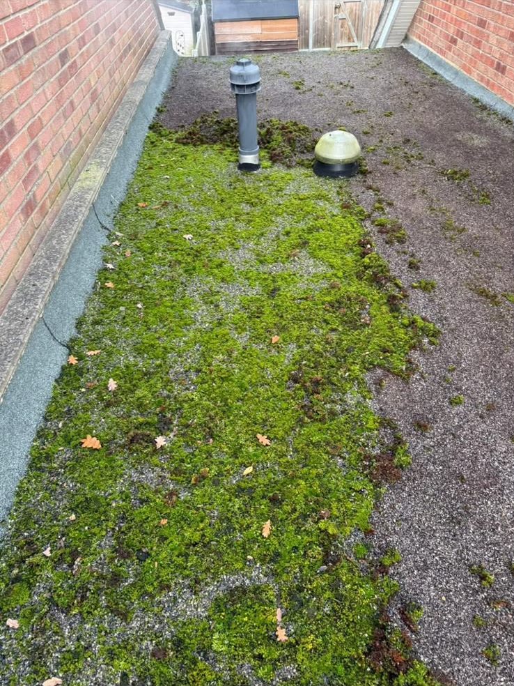 Flat roof replacement, before